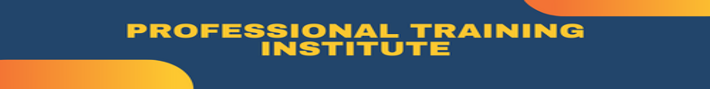 Professional Training Institute